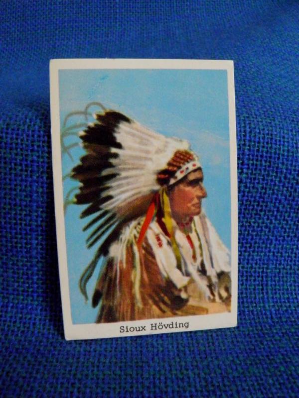 Filmstjärna - Sioux Hövding - Indian 