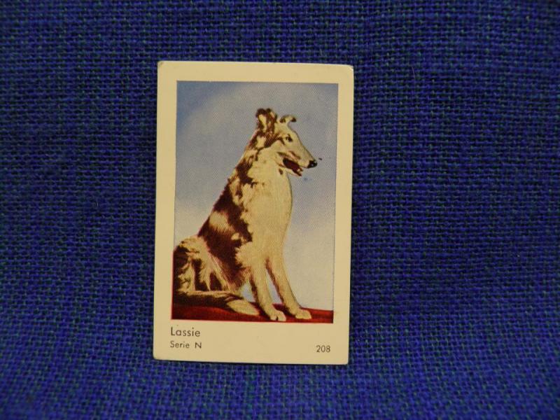 Filmstjärna -  Lassie - Serie N 208 - Hund