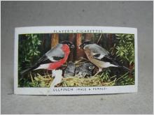 Klistermärke / Samlarbild - Birds & Their Young - Players Cigarettes Wild Birds by John Player and Sons- Nr. 2 Bullfinch