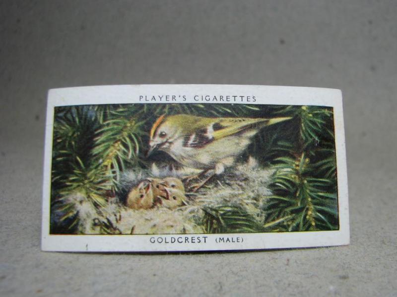 Klistermärke / Samlarbild - Birds & Their Young - Players Cigarettes Wild Birds by John Player and Sons- Nr. 14 Goldcrest