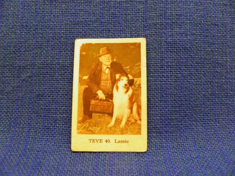 Filmstjärna - TEVE 40. Lassie - Hund