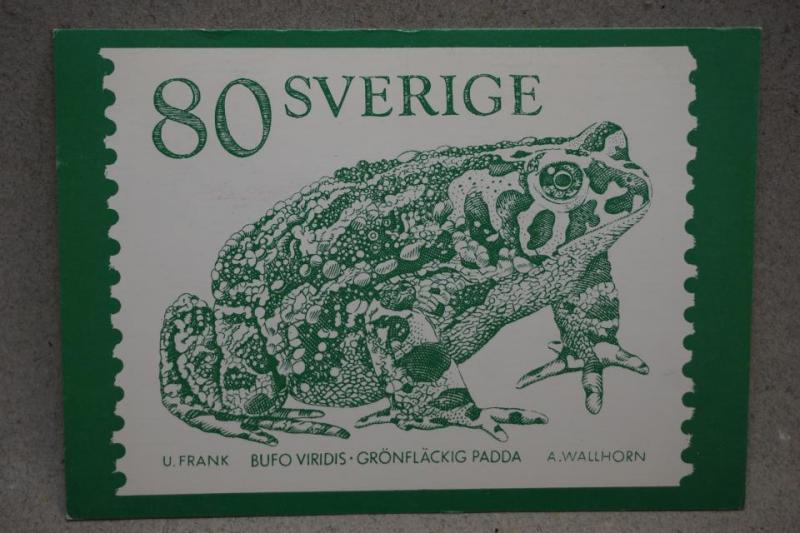 Skellefteå 1980 - stämplar på 2 frimärken - Vykort med Groda