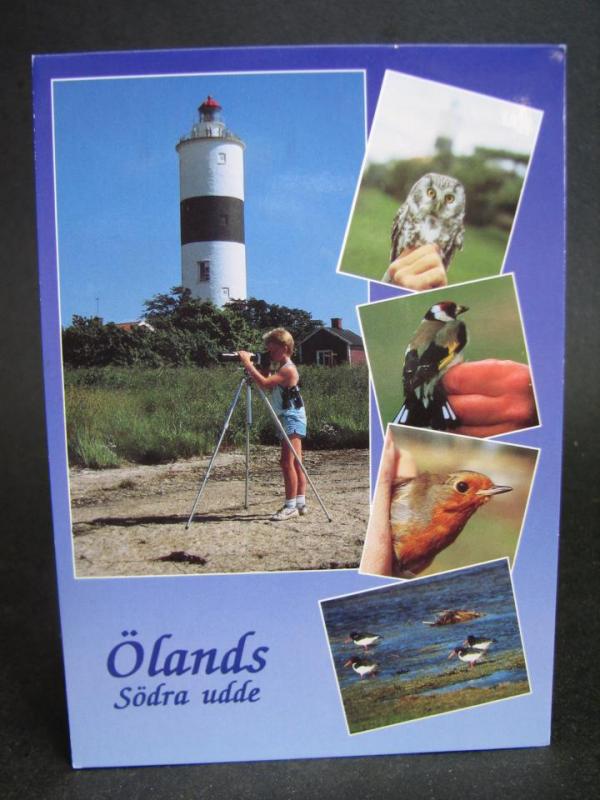 Vykort -  Öland - Fåglar vid Ölands Södra udde