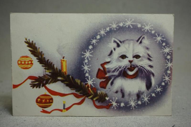 Äldre vykort - Söt katt 
