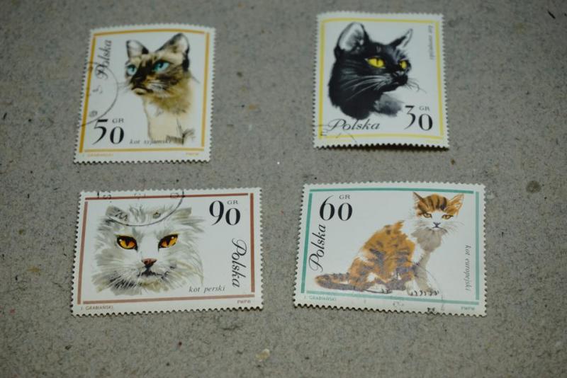 Motiv Katt - 4 stycken äldre  frimärken 