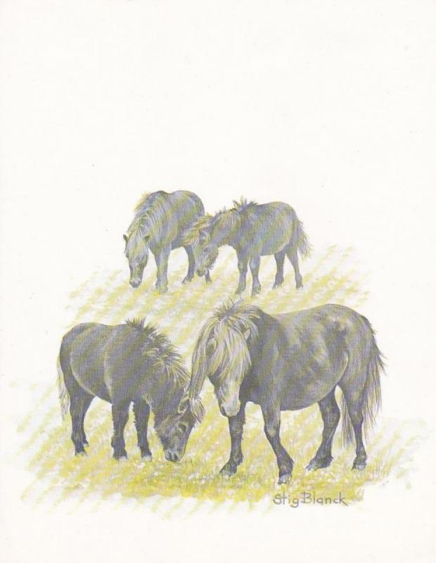 4 Fina tavlor med hästar målade av Stig Blanck. 