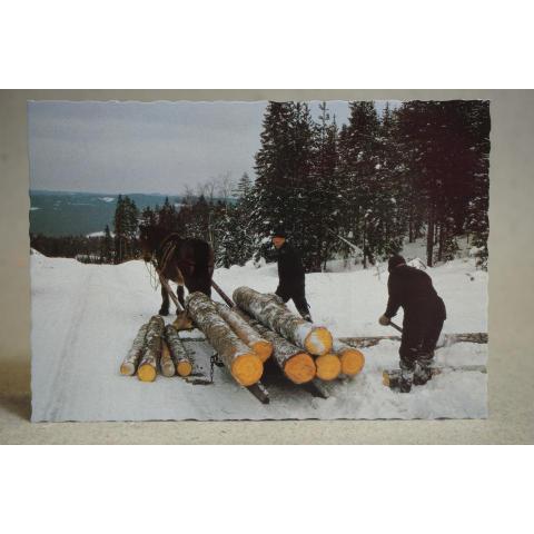 Timmerkörning med häst i norra Värmland Oskrivet äldre vykort