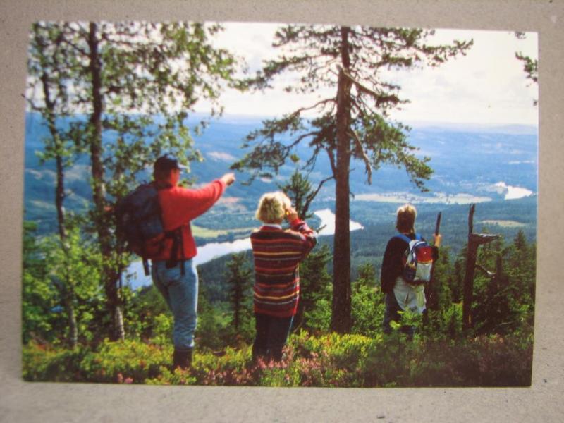Utsikt över Klarälvsdalen 1990 Värmland skrivet äldre vykort