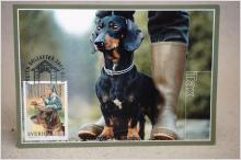 Tax Hundar Maximi vykort med fin stämpel på 2 frimärken