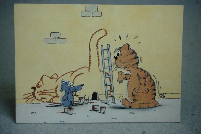 Stein Humor vykort med Katt och råtta