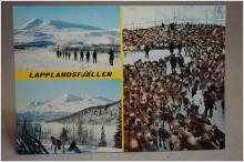 Renar Lappland - skrivet äldre vykort 1980-talet