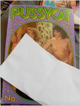 Pussycat 46 .color climax 