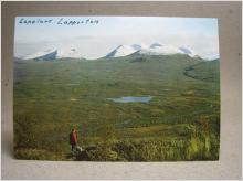 Äldre vykort - Lapporten - Lappland 1962