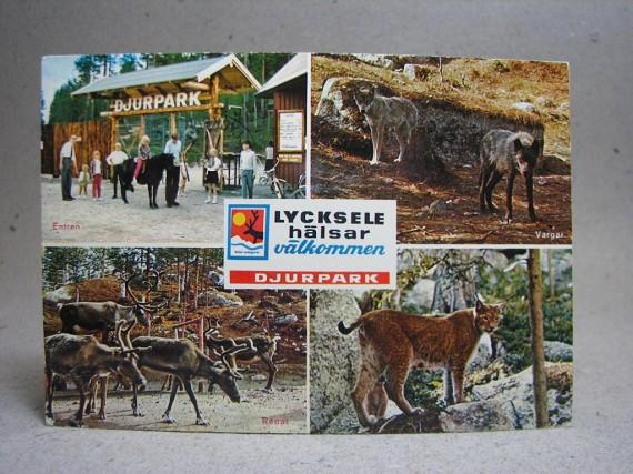 Äldre vykort - Flerbild - Lycksele Djurpark 1978