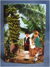 En Krona Auktion - Barn på Bananplantage - Teneriffa