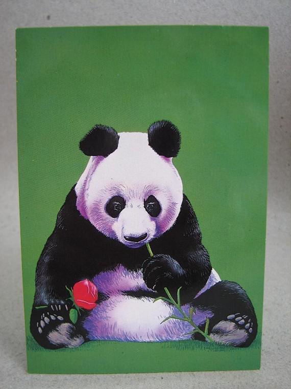 Tecknat Vykort - Panda med ros