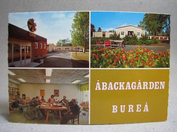 Äldre vykort - Vyer från Åbackagården - Bureå