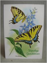 Oskrivet Fint Vykort - Vackra Fjärilar- Tecknade