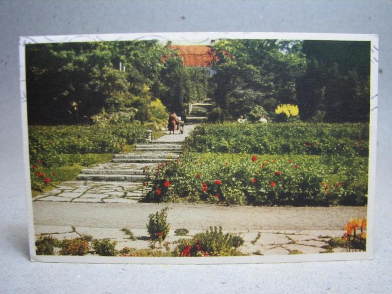 Vykort - Botaniska Trädgården - Visby 1944