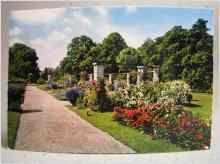 Äldre vykort - Botaniska Trädgården - Visby