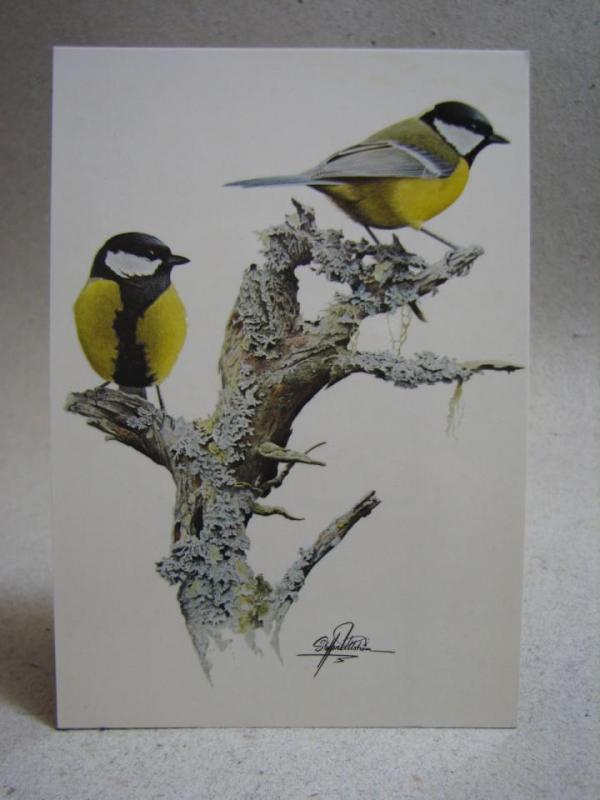 vykort - Tecknade Fåglar - Talgoxar av Staffan Ullström