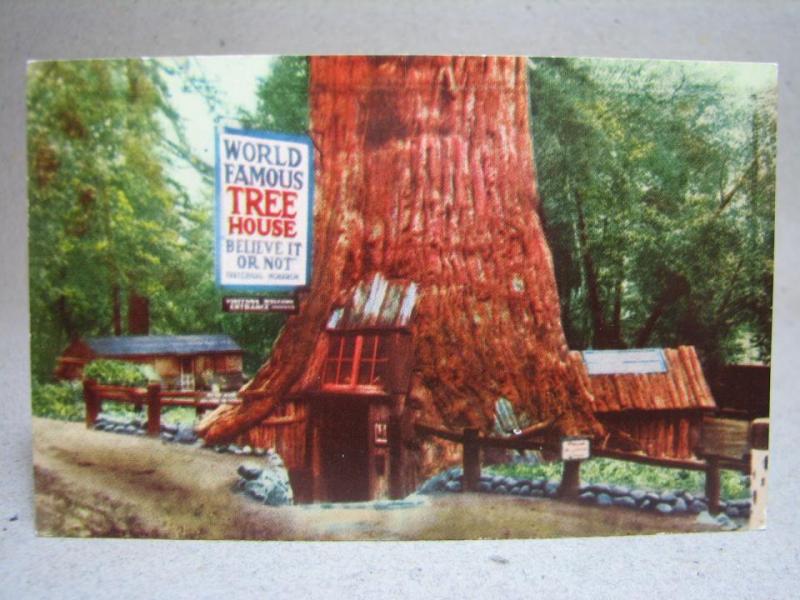 Världens mest berömda Trähus - Californien