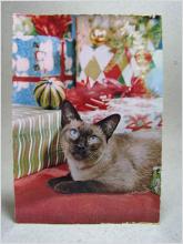 Katt bland Julklappar Äldre vykort oskrivet