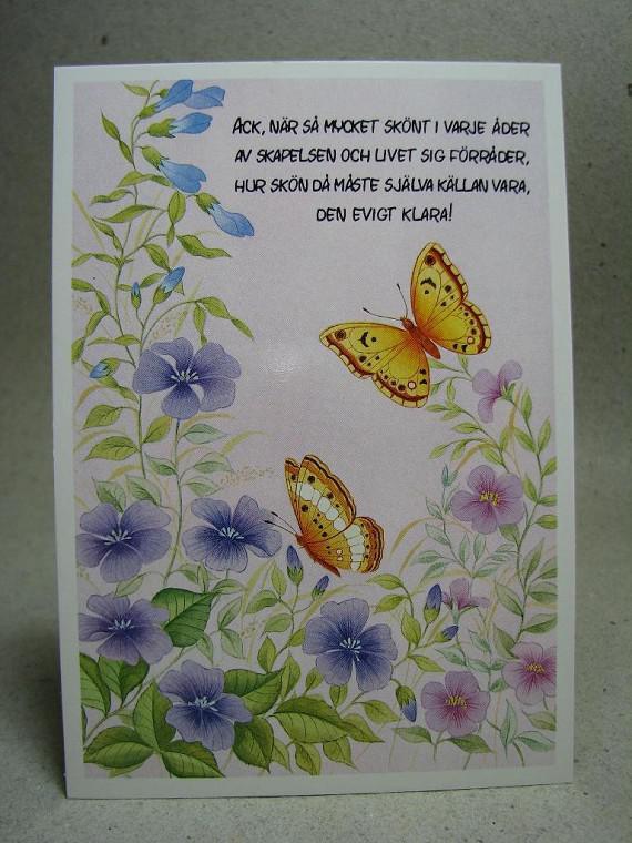 Oskrivet vackert tecknat Vykort - Med text - Blommor Fjäril
