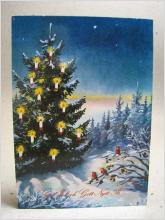 Tecknat vykort - Fåglar beundrar juleljusen