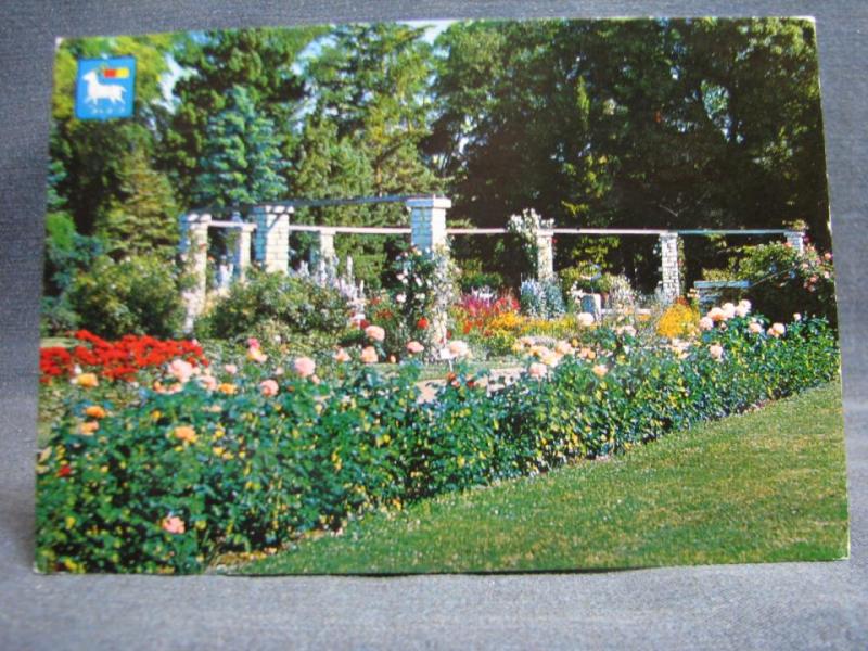 Vykort oskrivet - Botaniska trädgården 1975 / Visby - Gotland