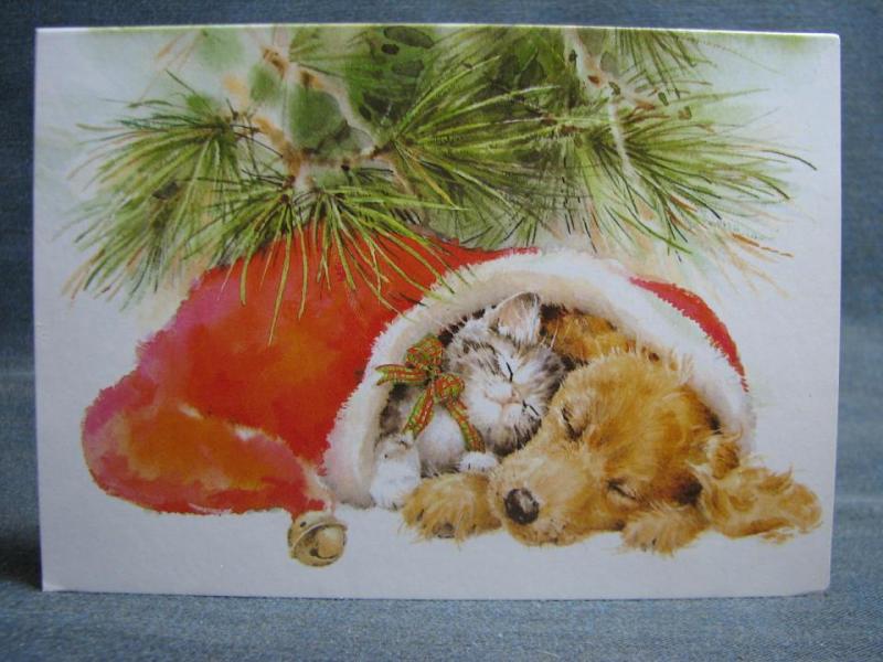Julkort dubbelvikt - Söt katt o hund i en julluva
