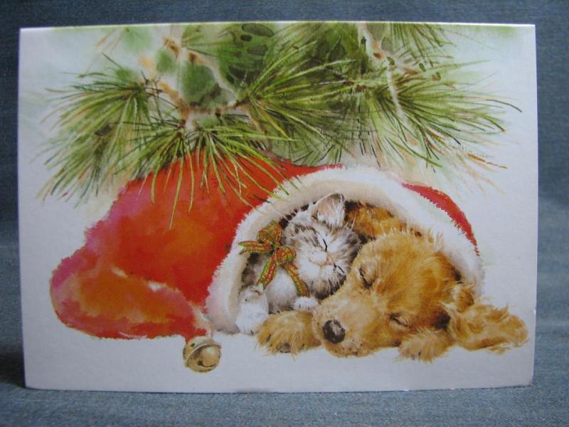 Julkort dubbelvikt - söt katt och hund i julluva