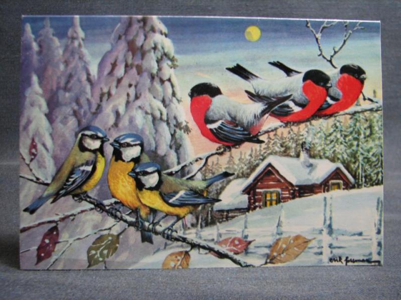 Julkort dubbelvikt -  signerat -  Fåglar på en gren