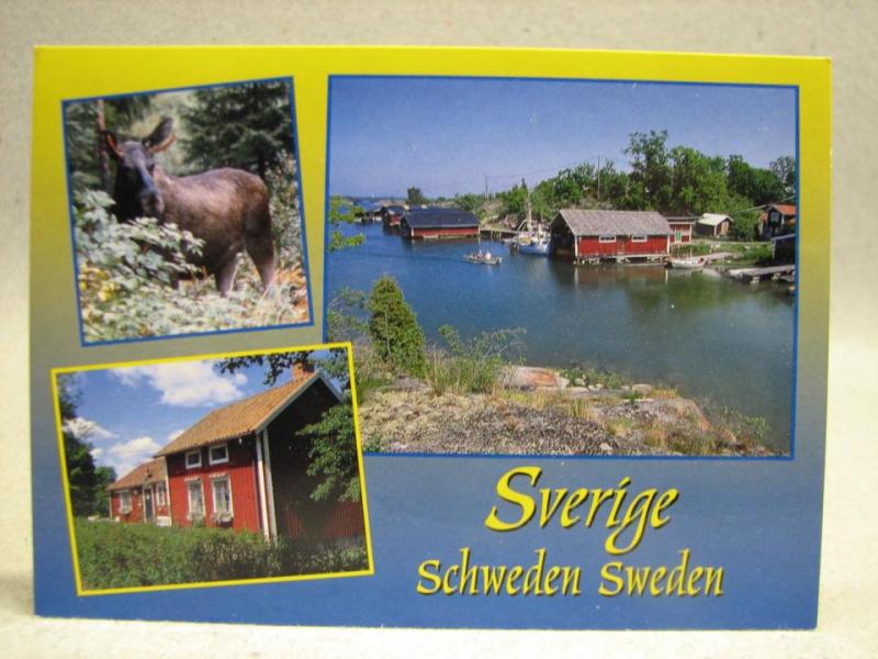 Sverige Sweden - Älg m.m. Oskrivet vykort