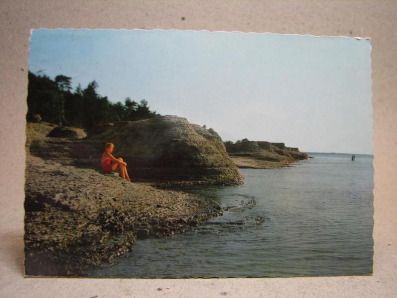 Raukar vid Byrums Sandvik  - Öland - Äldre vykort