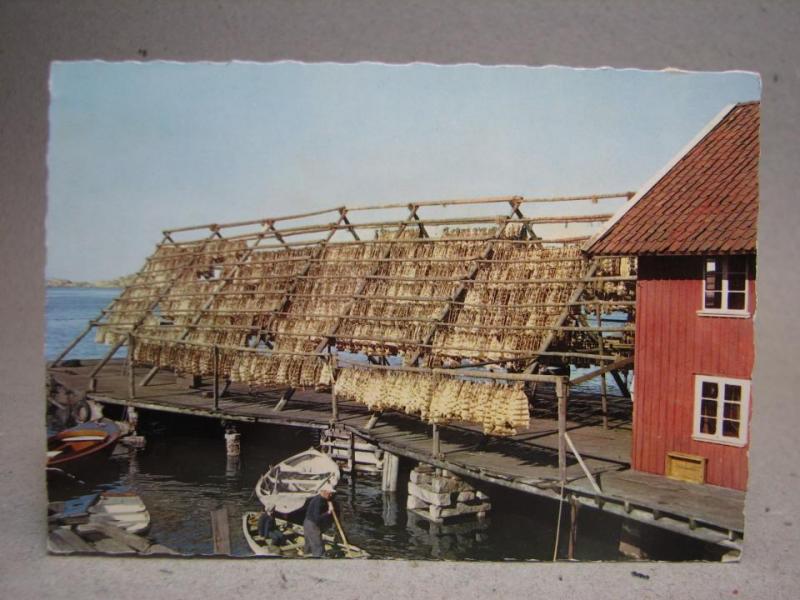 Bohuslän - Spillånga på tork i hamnen 