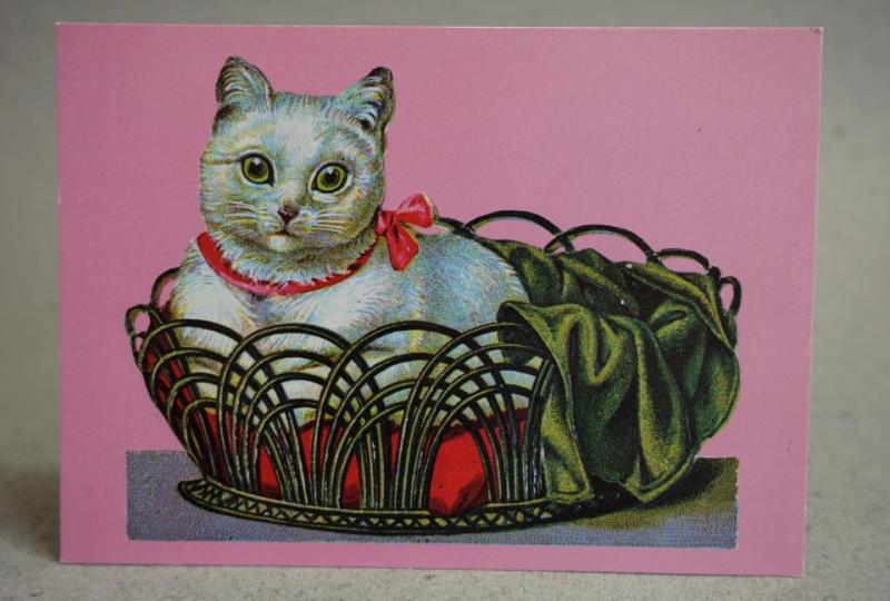 Katt  - äldre oskrivet vykort  - Bilden Efter ett bokmärke 
