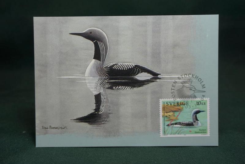 Oskrivet Vykort med fin stämpel på strand och sjöfåglar 10 kr frimärke på framsidan - Maximikort nr. 227