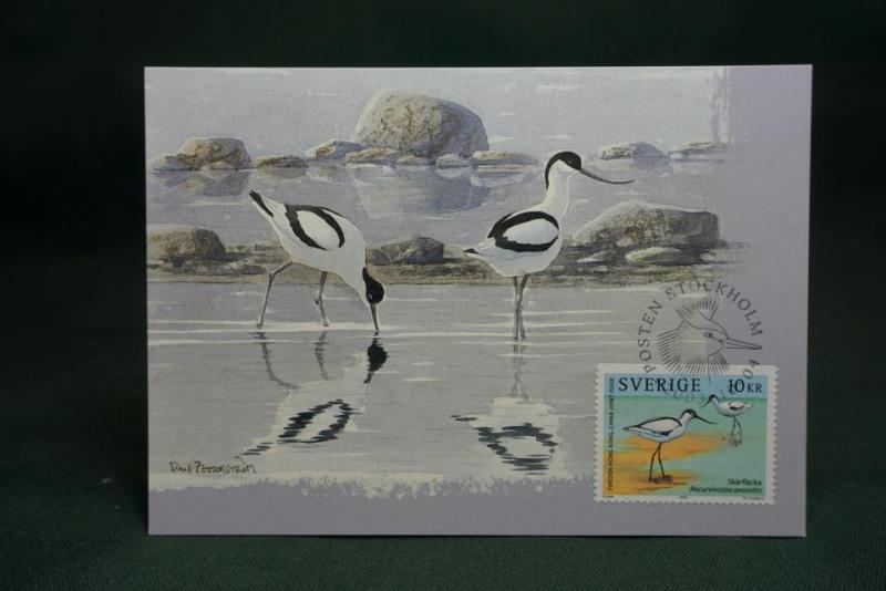 Oskrivet Vykort med fin stämpel på strand och sjöfåglar 10 kr frimärke på framsidan - Maximikort nr. 225