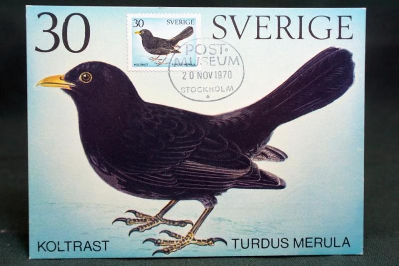 skrivet vykort - fin stämpel på Svenska Fåglar Koltrast frimärke på framsidan 