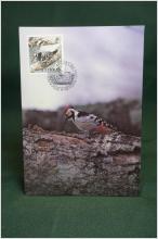 Vitryggig Hackspett - Oskrivet Vykort med fin stämpel över Skydda våra fåglar 5.50 frimärke  på framsidan Maximikort nr: 81