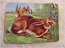 Bokmärke djur Hare
