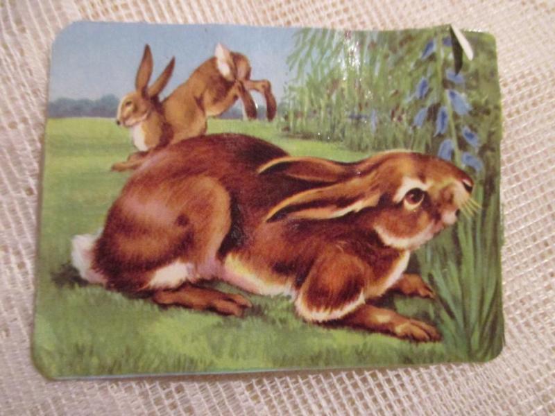 Bokmärke djur Hare