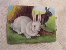 Bokmärke djur Kaniner