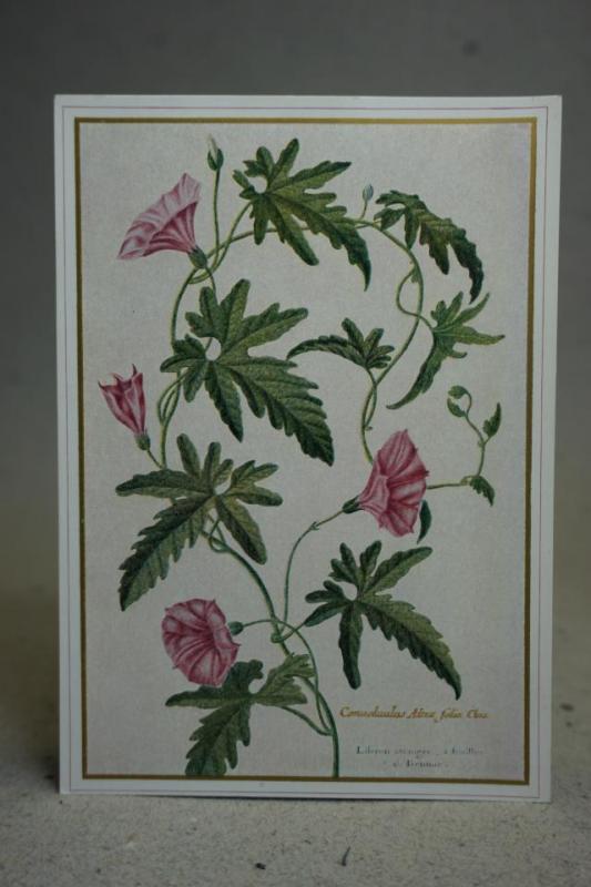 Blommor - Gammalt vykort från en målning av Nicolas Robert