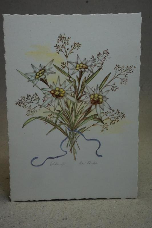 Blommor - Gammalt oskrivet vykort - Rosi Fischer
