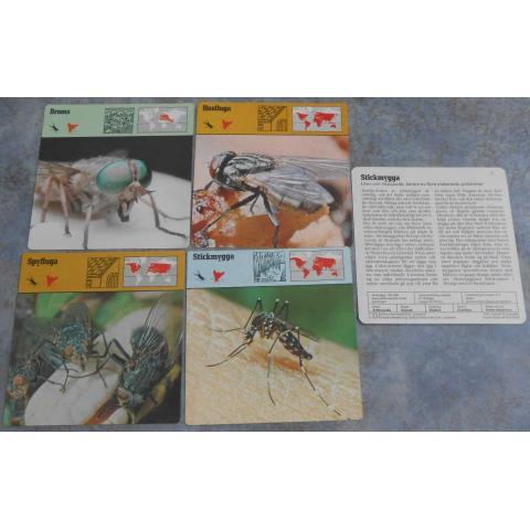 Editions Rencontre; 5 st kort (4 olika) flugor, myggor