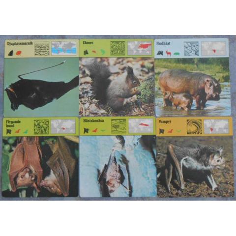 Editions Rencontre; 6 st kort fiskar, fladdermöss, däggdjur