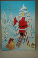 Julkort - Tomten - Oskrivet vykort