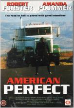 American Perfect - Thriller